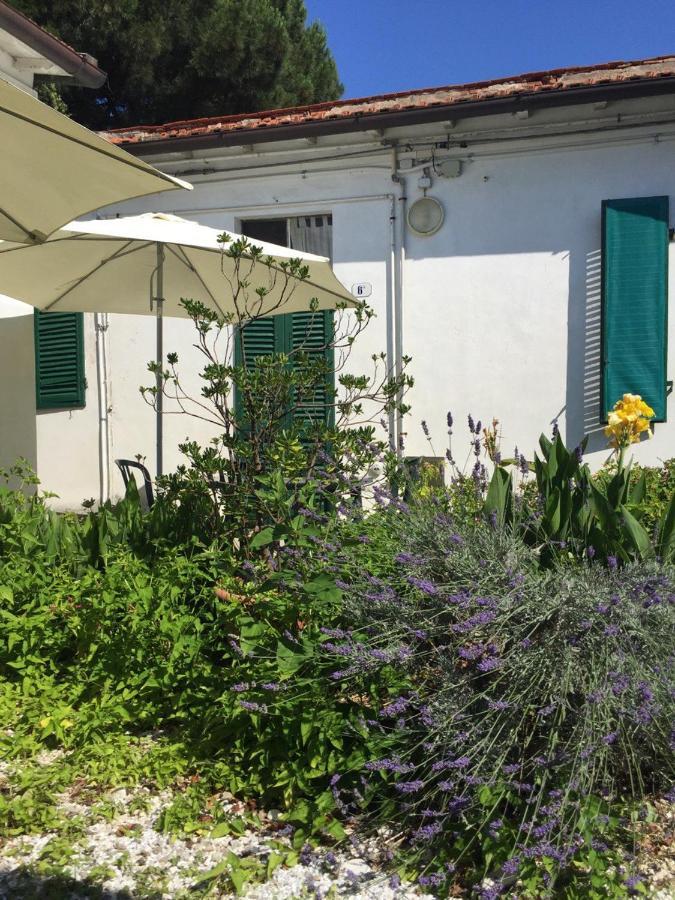 Appartamenti Gloria Marina Di Pisa Bagian luar foto